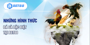 Những hình thức đá gà đặc biệt tại Bet88