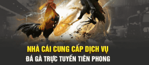 Giới thiệu về King88 