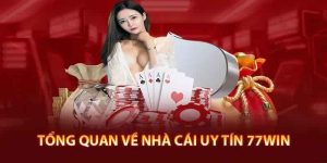 Giới thiệu nhà cái uy tín 77win